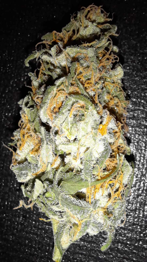THCA Bud
